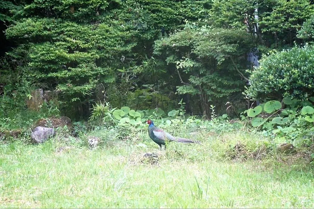Ek House Hakone Josuiso 箱根如水荘 Villa Semesterbostad